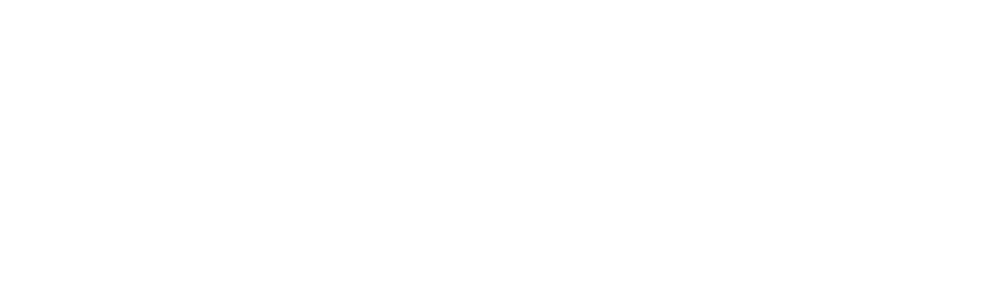 lillimeter logo